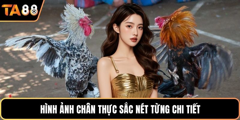 Hình ảnh chân thực sắc nét từng chi tiết