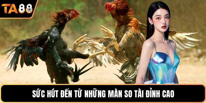 Sức hút đến từ những màn so tài đỉnh cao